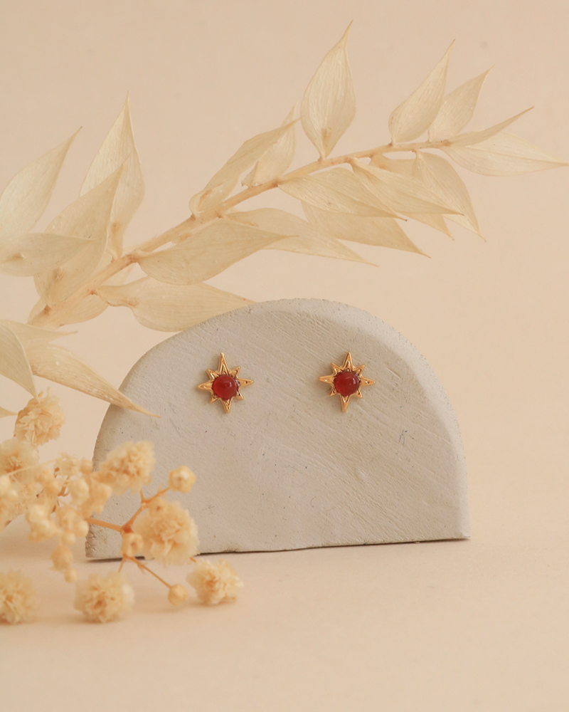 Boucles d'oreilles Puces Polaris